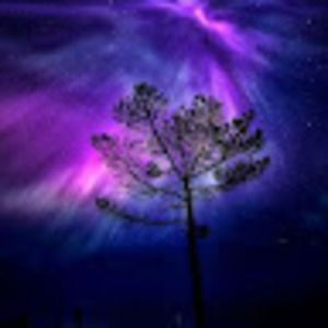 Meet your Posher, M.